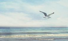 一颗欢乐的心，发自内心的笑容：描写欢笑极为灿烂开心的句子