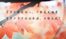 一起来感受秋天的萧索情怀，分享那些令人沉醉的伤感句子吧！