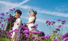 超过十个字符的五月朋友圈发文，传递情感、灵感、有趣的句子推荐！