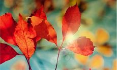 提醒自己要保持开心的句子，让快乐成为生活中的常态