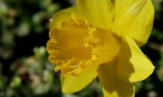 寻找最合适的恋人早上问候短信用语：让你的爱人从一开始就感受到幸福与温暖！