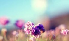 永恒流转的时光中，亲情永存的美好句子