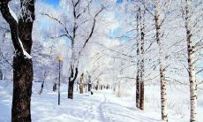 聚合金字塔下的真情：共享亲情的大家庭呈现