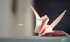 感恩的力量：流淌着正能量的引人瞩目的话语