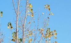 分享温暖的寒冬，传递正能量——和朋友们一起在12月早晨分享美好的语录和生活心得！