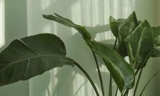 秋季问候的短信：用文字传递温馨，传送思念的季节问候