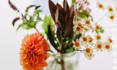 用图片完美诠释的精致早安问候语