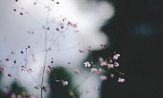 我的男朋友令我极度失望，我已决定离开他