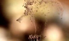 无尽的口胡：让人烦躁的唠叨性言辞