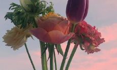 当你的爱人让你失望时，这些的句子可以帮助您表达自己的感受和情绪