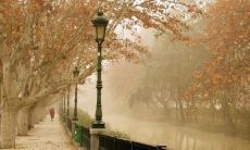 表达思念亲情的心情，分享美妙句子，传递真挚情感