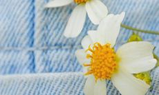 探寻2021年精美语句：从新的一年开始潜心探索优美表达之道