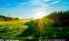 激励人心的长篇英文句子，带有新年的主题和励志的氛围