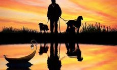 探讨人际关系中友情疏远的表达方式和挽救方法的长标题