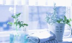 曲折动人的文艺句子，充满温情脉脉的亲情感受