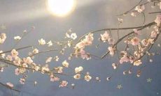 仔细倾听生活中的美好，收获快乐的哲理句子