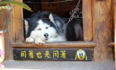 2022年别具创意、最新的幽默句子排行榜