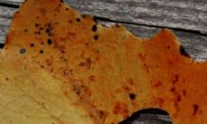 一些令人失望的句子，可以用来传达对他人的不满、失望和挫败感