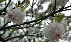 令女生心情低落且无奈的句子，描述她表达不开心的情绪