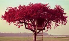 带有感染力和启示性的令人叹为观止的励志语录，能够深深地触动人心并激励人类向前迈进(图)