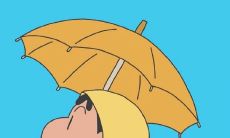 如何运用优美抒情短句来表达情感？