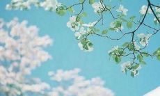 愿儿子在每天都能感到快乐和满足的情况下成长为具有男子气概的成年人