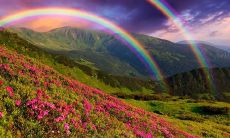 一些令生活更加快乐有趣的句子，让你每天充满幸福感!