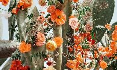 让孩子们欢笑不停的幸福话语