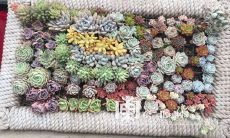 来自至深亲情之爱的令人感动的句子