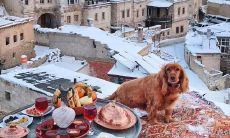 霸气押韵的足球口号：展现你的激情与力量！