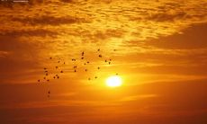 广阔胸怀，成就非凡的人生座右铭