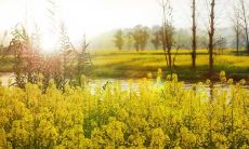 一句让一个人感到快乐和满足的句子