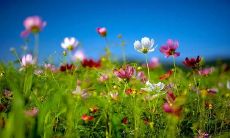 133个逗男生开心而又好笑的笑话句子：让他们忘记烦恼，高兴起来！