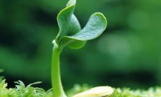 探寻家人间深厚、真挚、无条件的亲情，以及这种情感所带来的彼此之间的依存、支持、成长与陪伴