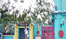 迷离飘雪中，短句唤起沉郁情感，悲伤情绪绵延不绝