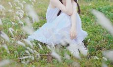 今日阳光灿烂美丽如画，恰到好处的温度让人心旷神怡