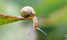 一些关于惊蛰的令人惊艳的优美句子，让你领略大自然的魅力