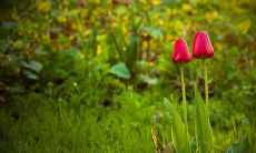 亲情维护指南：汇集关于维护亲情的经典句子，帮助你保持家庭和谐幸福