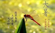 九首简单古诗描写大暑，细致生动地展现这个令人热血沸腾的夏季节日！