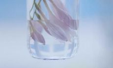 一些女孩跟你在一起时表达不开心的话语，并且你是否感到不快的一些句子