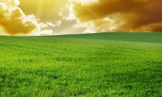 微信短信问候客户，传递周末问候及商业信息助力客户关系维护与业务拓展