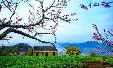 如何每天保持积极心态并保持身心健康？分享一些简短但有效的技巧