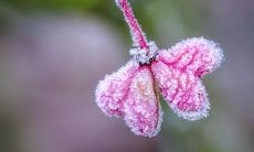 一百种深切形容亲情的爱之句子，让您感受到父母、子女和亲人间的深情厚爱！