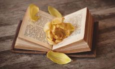 揭秘令人惊艳的恋爱小说《原耽》中的精彩语录，让你独领其美！