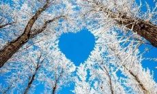 惊艳自然之美：用语言描绘壮观雪景的精彩句子