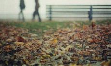 深情、悲伤、痛苦无尽：表达爱情伤感的句子集锦