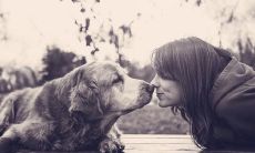 充满温暖和快乐的令人愉悦的句子