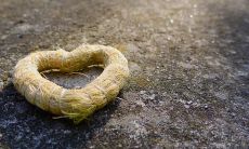 让你的女友开怀笑的句子 – 一系列令她欢心的情话短语