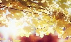 追忆亲情：唯美至深、荡气回肠的回忆录句子