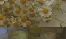 展望未来美好前景的祝福句子